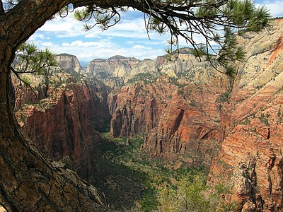 are dogs allowed in angels park zion national park