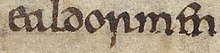 A mention of ealdormen in the Anglo-Saxon Chronicle Anglo-Saxon Chronicle - ealdormen (British Library Cotton MS Tiberius A VI, folio 4r).jpg