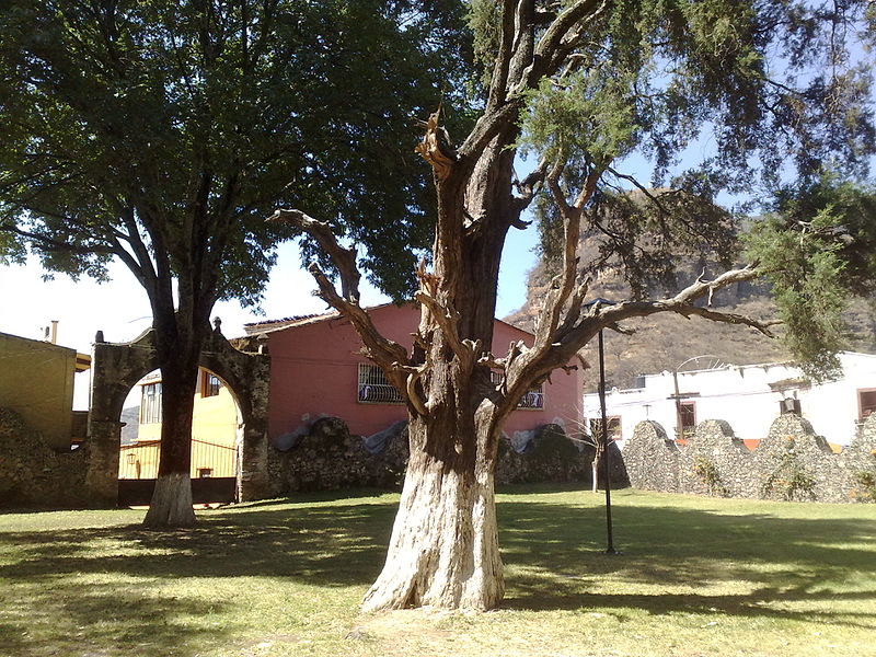 File:Antiguo Convento de la Transfiguración 32.jpg