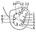 Vorschaubild der Version vom 21:24, 1. Mär. 2009