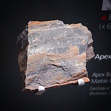 A specimen of Apex chert.