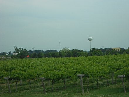 Aquaviva Winery in Maple Park, Illinois with the Kaneland High School water tower in the background.
