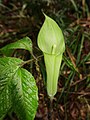 2023年4月22日 (土) 12:48時点における版のサムネイル