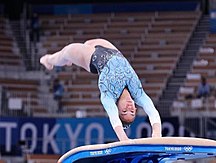 18) South Korea's Shin Jea-hwan wins gymnastics men's vault gold