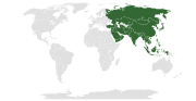 Miniatuur voor Bestand:Asia location map vector, - uz.svg