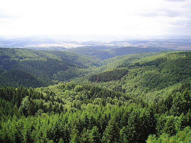 The Harz with its rugged terrain extends across parts of Lower Saxony, Saxony-Anhalt, and Thuringia and has a long history of mining and being a seat 