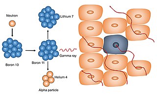 <span class="mw-page-title-main">Neutron capture therapy of cancer</span> Nonsurgical therapeutic modality for treating locally invasive malignant tumors