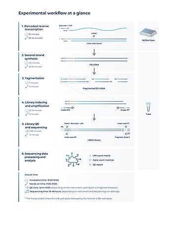 BRB-seq