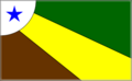 Bandeira de Parauapebas