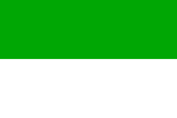 File:Bandera de Rurrenabaque.svg
