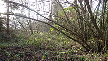View from Byng Road Barnet Countryside Centre from Byng Road.JPG