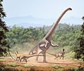 Barosaurus lentus1.jpg