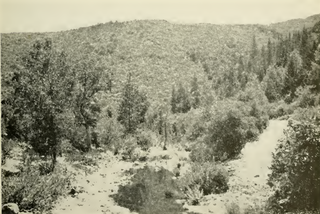 Bartlett Creek, Lake County, California