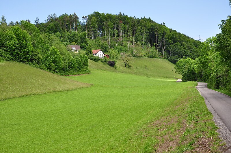 File:Batzberg - Mettlen (Wald) IMG 4674.JPG