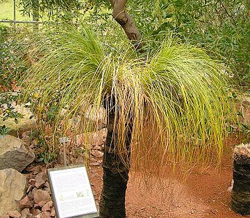 Botanischer Garten Der Ruhr Universitat Bochum Wikiwand