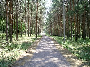 Затайрукский лесопарк им. В. Н. Полякова.