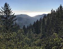 Big Basin Redwoods State Park, in the Santa Cruz Mountains, is the oldest state-run park, founded in 1902. Big Basin Redwoods State Park, Santa Cruz, United States 15012017 021836 0000 (cropped).jpeg