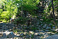 Trail crosses stream near downstream end.