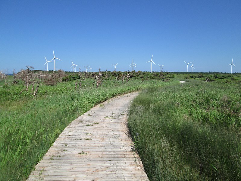 File:Black Marsh Trail, North Cape, PEI (34995507134).jpg