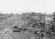 Bodies on the battlefield at antietam