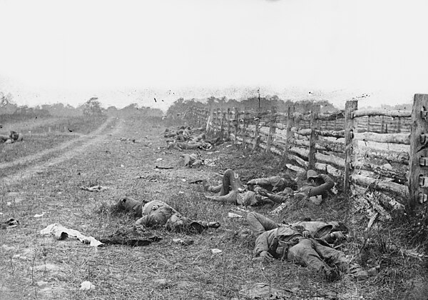 Bodies on the battlefield at Antietam, 1862, Alexander Gardner