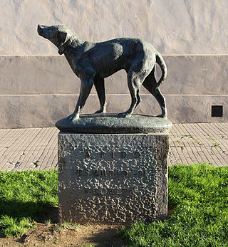 <span class="mw-page-title-main">Fido (dog)</span> Italian dog (1941–1958)