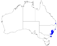 Boronia rigens DistMap102.png