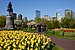 Boston Public Garden May 2018 010.jpg