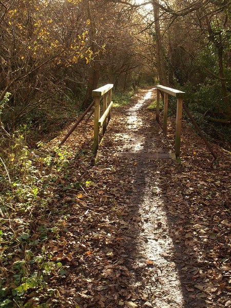 File:Bridge on Templar Way - geograph.org.uk - 1052562.jpg