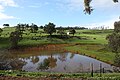 Un típico paisaje rural en los alrededores de Bridgetown