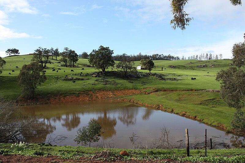 File:Bridgetown landscape.jpg