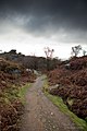 Brimham Rocks from Flickr I 06.jpg