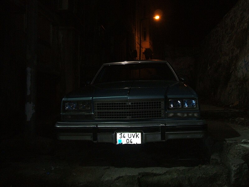 File:Buick Electra in dark alley.JPG