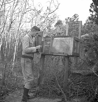 Rossitten Bird Observatory worlds first ornithological observatory