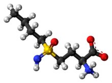 Ball-and-stick model van buthioninesulfoximine als zwitterion