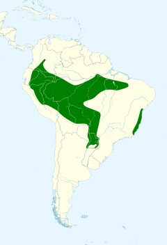 Campylorhynchus turdinus map.svg
