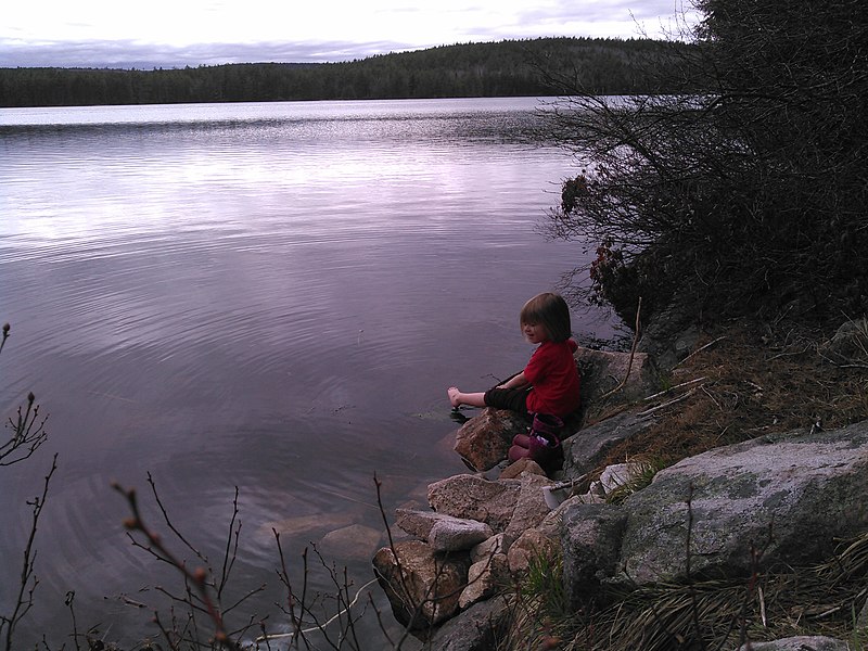 File:Capple Lake - panoramio.jpg