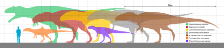 Tập_tin:Carcharodontosaurid_scale.svg