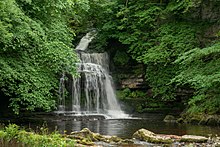 Cauldron Force, West Burton