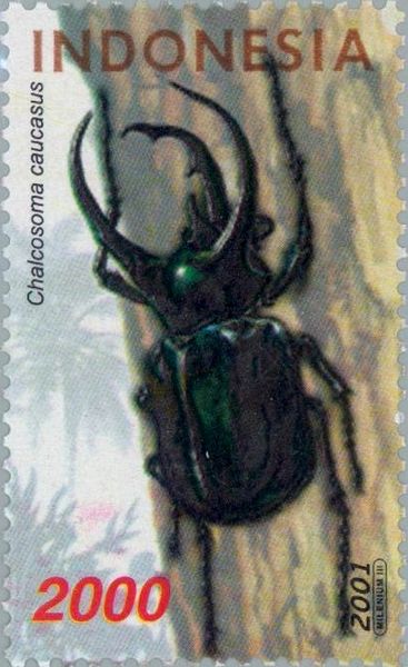 File:Chalcosoma caucasus 2001 Indonesia stamp.jpg