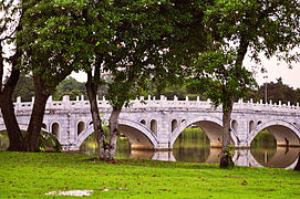 Chinese Garden Bridge.jpg