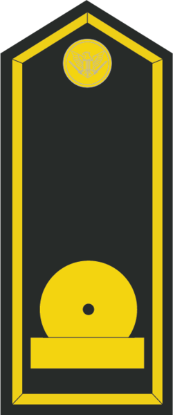 File:Chuẩn Úy-Army-2.png