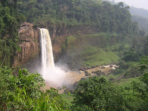 Ekom Waterfall in Korup National Park