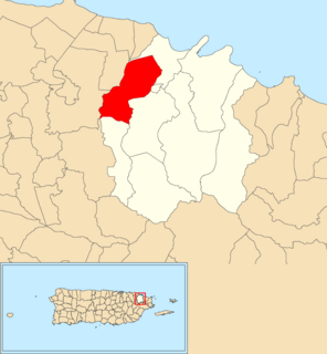 Ciénaga Baja Barrio of Río Grande, Puerto Rico