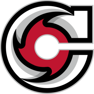 <span class="mw-page-title-main">Cincinnati Cyclones</span> Professional ice hockey team