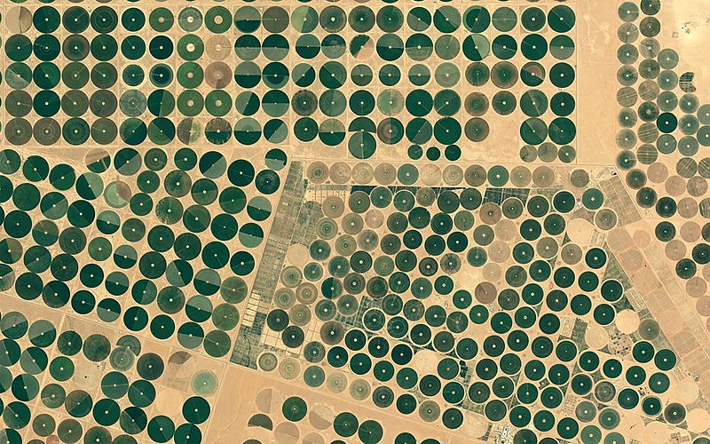 File:Circular irrigations in Al Jawf Region, Saudi Arabia.jpg