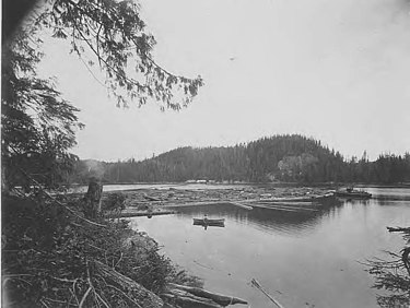 Broughton Island in 1917 Clark and Lyford, Ltd standing boom in the southwest arm of Booker Lagoon, Broughton Island, British Columbia, June 16, 1917 (AL+CA 7778).jpg