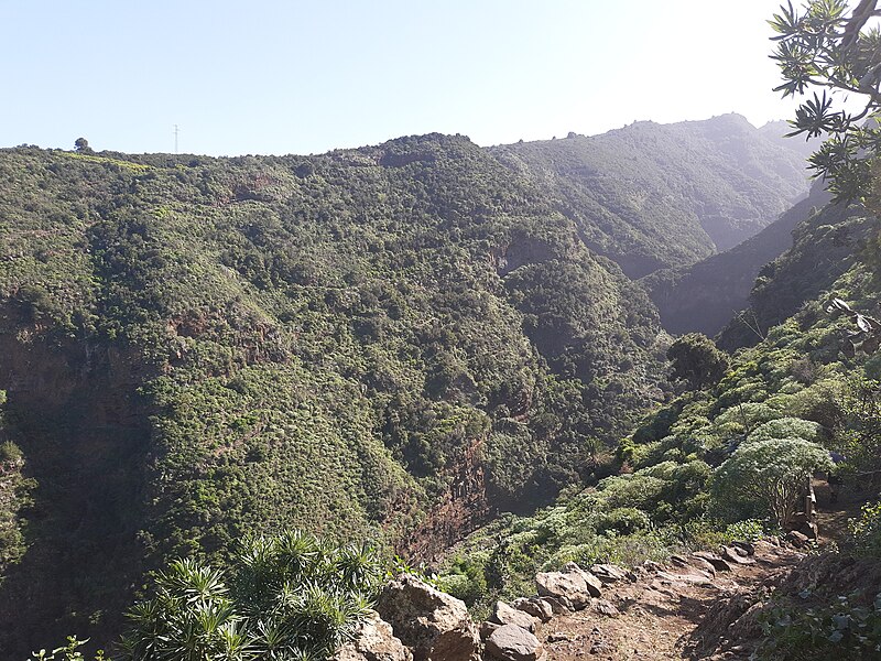 File:Coastal trail 130, Barranco Gallegos up, La Palma.jpg