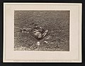 Confederate soldier, who, after being wounded, had dragged himself to a little ravine on the hill-side, where he died LCCN2014646927.jpg