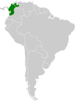 Distribución geográfica del saltarín gorgiblanco oriental.